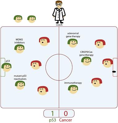 Key Players in the Mutant p53 Team: Small Molecules, Gene Editing, Immunotherapy